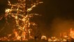 Firefighter explains extremity of Australia's bushfires