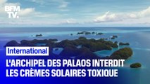 L’archipel des Palaos interdit les crèmes solaires toxiques pour préserver ses coraux