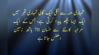 Hazrat Ali (R.A) k sunehri aqwal