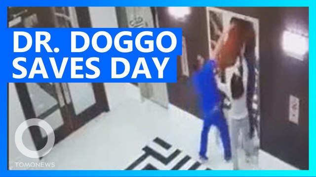 Doctor rescues dog from choking to death on leash stuck in elevator