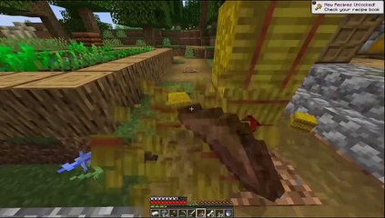 I beat Minecraft with Very Low Sensitivity. It was Hard