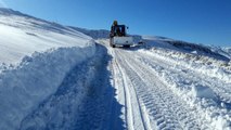Siirt'te kardan kapanan yollar ulaşıma açıldı, mahsur kalan araçlar kurtarıldı