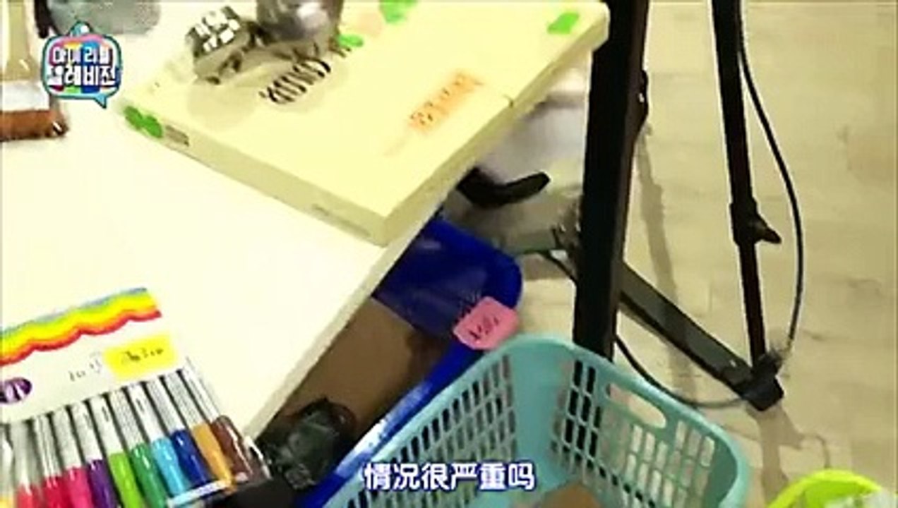 ♥◢≪