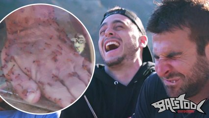 The Kings Of Pain Made Me Put My Hand In A Tank Full Of Hundreds Of Venomous Ants And Unsurprisingly It Was EXTREMELY Painful