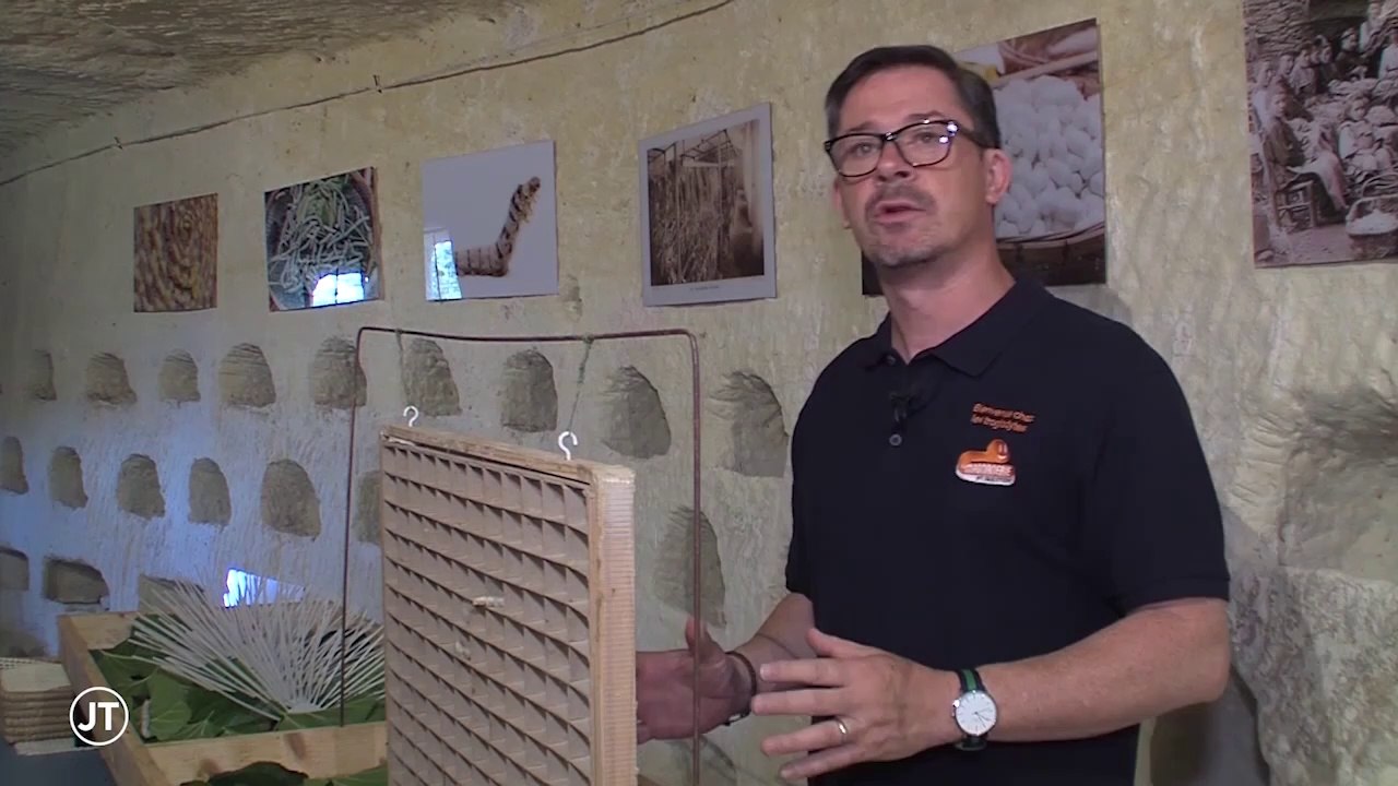 PATRIMOINE A la découverte de la culture du ver à soie en Touraine