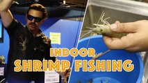 Indoor Shrimp Fishing | Whoa That's Weird