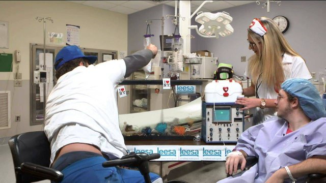 Larry The Gambling Goldfish IIs Week 8 NFL Gambling Picks