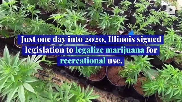 Illinois Legalizes Marijuana