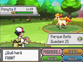 Pokemon Iberia 8- Parque Doñana | 3 Luxray