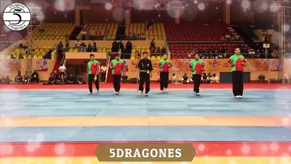 Martial Arts Festival -17- Festival de Artes Marciales