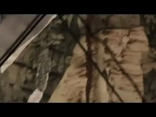 Franck Thilliez - La forêt des ombres