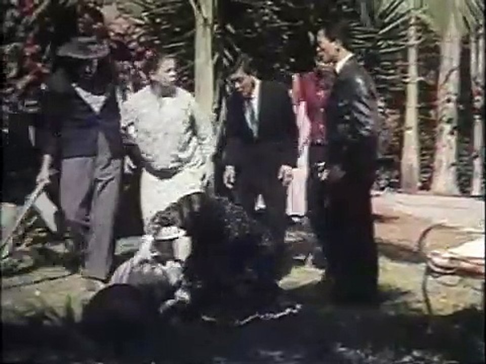 Mazzaropi Meu Japão Brasileiro