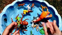 Learn Colors with Sea Creatures and Wild Animals Names Sharks For Kids