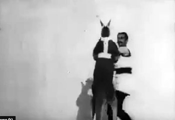 Kangaroo Thinks he Can Box Human