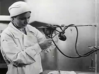 Experiments in the Revival of Organisms (1940)