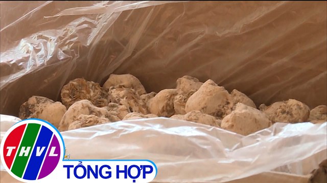 Thu giữ 1,3 tấn men rượu không rõ nguồn gốc tại Hà Tĩnh