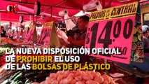 La nueva disposición oficial de prohibir el uso de las bolsas de plástico