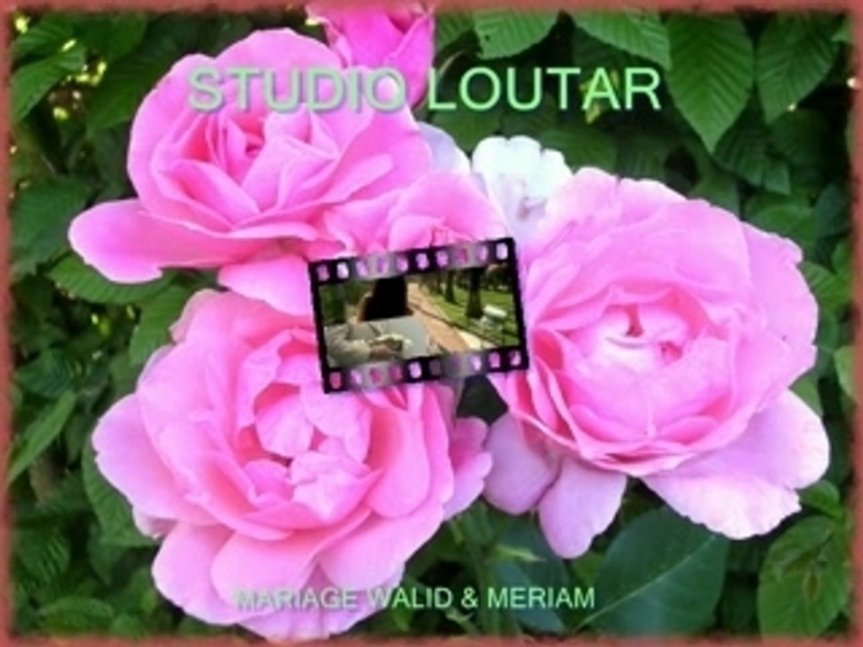 mariage de walid