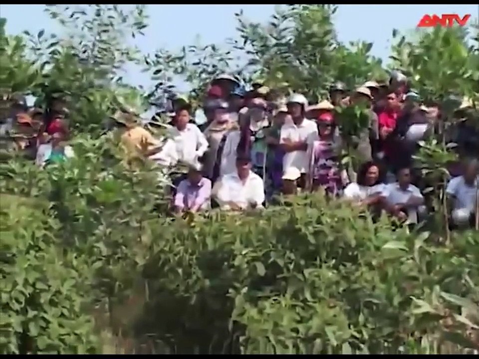 24h truy bắt sát thủ bí ẩn đoạt mạng giám đốc bằng 32 nhát dao - Hành trình phá án - ANTV