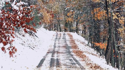 Vlogmas Day 19- We Arrived at Shipper with a Frozen Lock