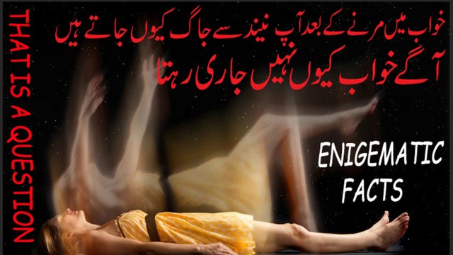 Why Dreams Are Not Continue After Death In Your Dreams? | Which Is The Country Have No Prisoners In There Jails? | What Is World Highest Sold Products? | One Sentence In All ABC Alphabets & Enigmatic Science Facts EP#4 |SHINE FACTS|