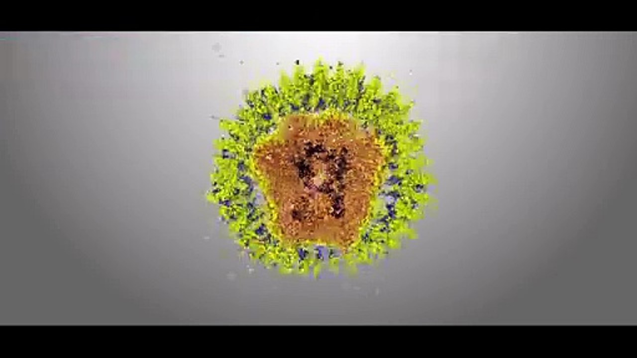 Adobe Illustrator Training - Class 5 - Direct Selection Tool Urdu / Hindi |  @Aanav Creations