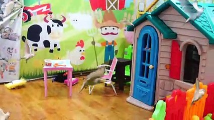 Oyun Alanına Süpriz Güvercinler Gelmiş Eslem Onlara Yem Verdi Hiç Korkmadı Çocuk Videom