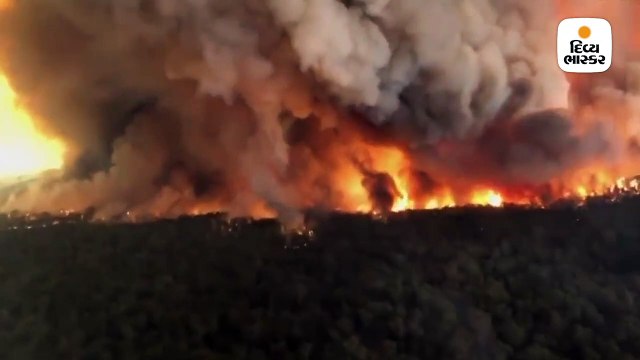 ઓસ્ટ્રેલિયાના જંગલોમાં લાગેલા દાવાનળની અસર બે હજાર કિમી દૂર દેખાઈ, ગ્લેશિયર પણ પીળા પડવા લાગ્યા