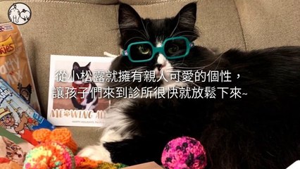 CollectionVideo-petmao_curation-PetsMaoParser-2020/01/03-09:30