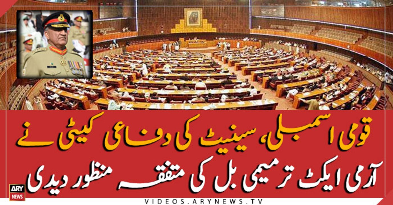 National assembly and Senate defense committee approved Army act unanimously
