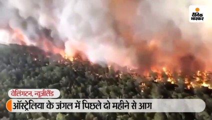 जंगल की आग से न्यूजीलैंड के ग्लेशियर का रंग बदला