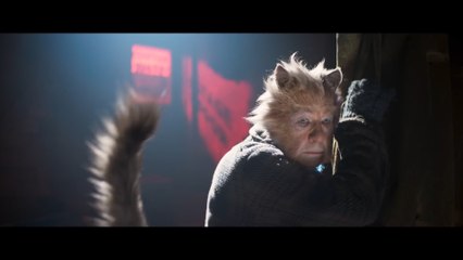 El musical 'Cats' y 'Mujercitas', estrenos de este viernes