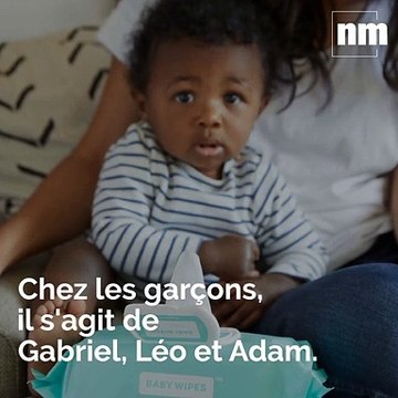 Prénoms les plus donnés à Nice, tué d'un coup de poing à Cannes, Goncourt des animaux : voici votre brief info de vendredi après-midi