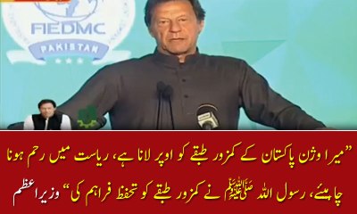 PM Imran stresses importance of industrialisation at groundbreaking of special economic zone in Faisalabad