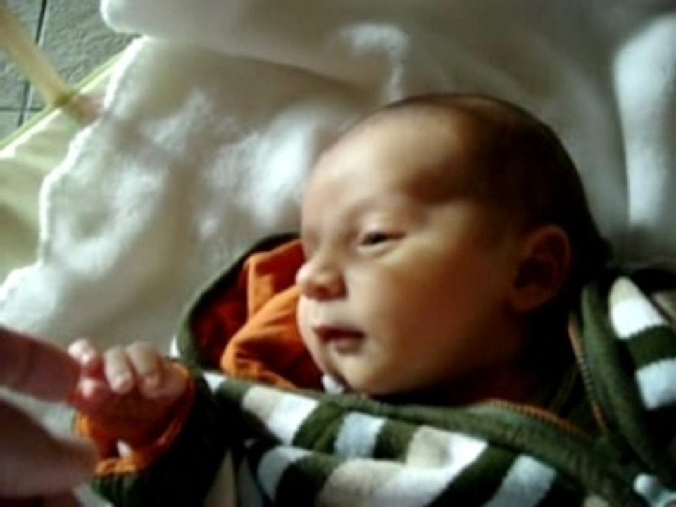 Noah câlin...