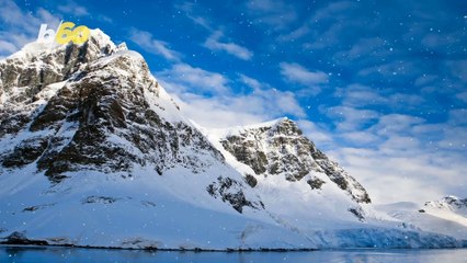 Cruising into the Arctic is Trending But It’ll Cost You!