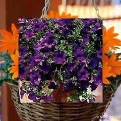 Beautiful views on tilawat Quran