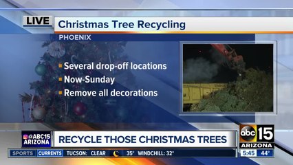 Recycle your Christmas trees!