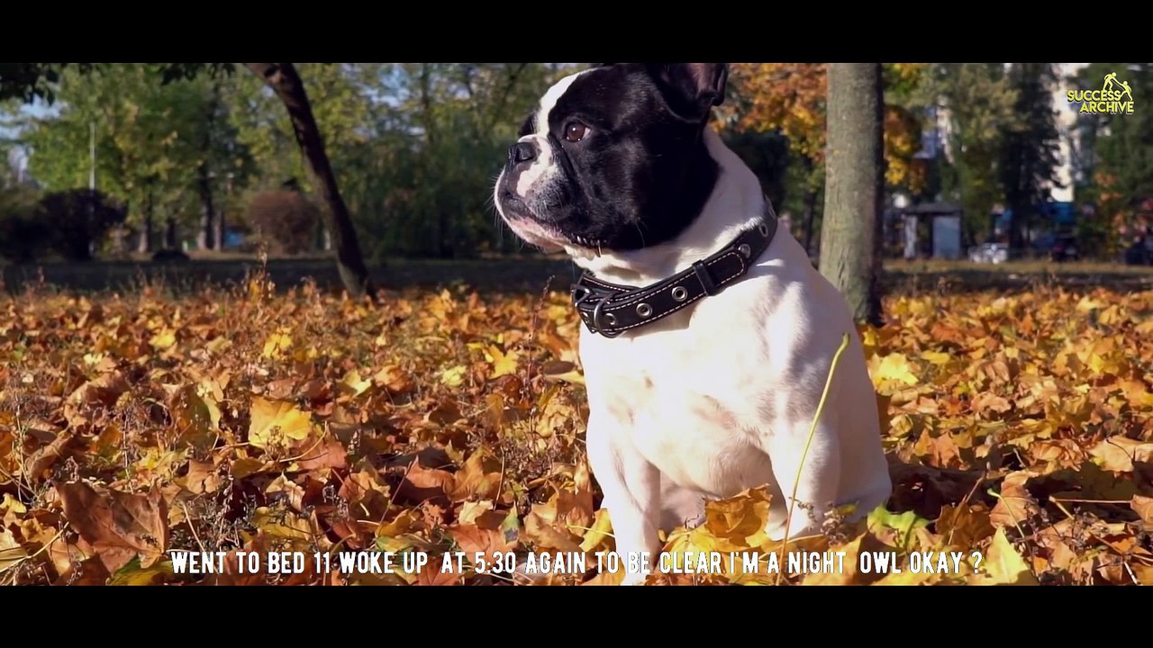 Why do we have to sleep ? This Is What Happens When We Sleep !