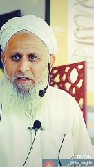 What did molna said about abusing man