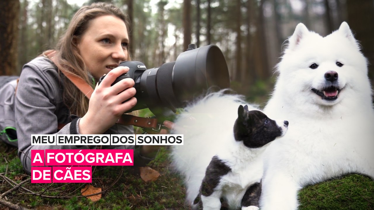 Meu emprego dos sonhos: A fotógrafa de cães