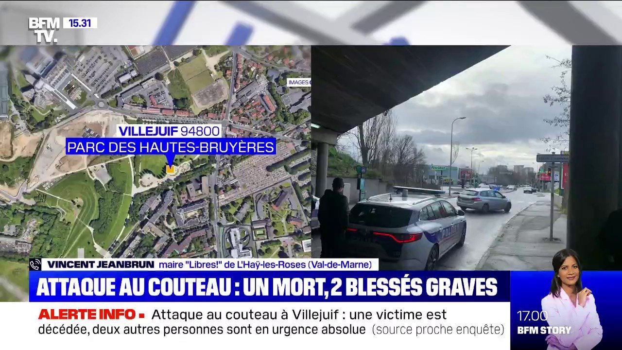 Attaque au couteau : Le parc des Hautes-Bruyères, un endroit de "détente et familial, pas très passant en cette période de l'année" selon le maire de Villejuif