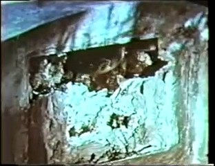 Mad Doctor of Blood Island (1969, Trailer)