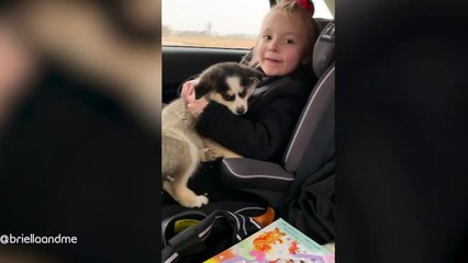 Une petite fille handicapée reçoit le plus beau des cadeaux !