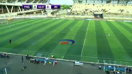 Des abeilles sèment la panique lors d'un match de football en Tanzanie