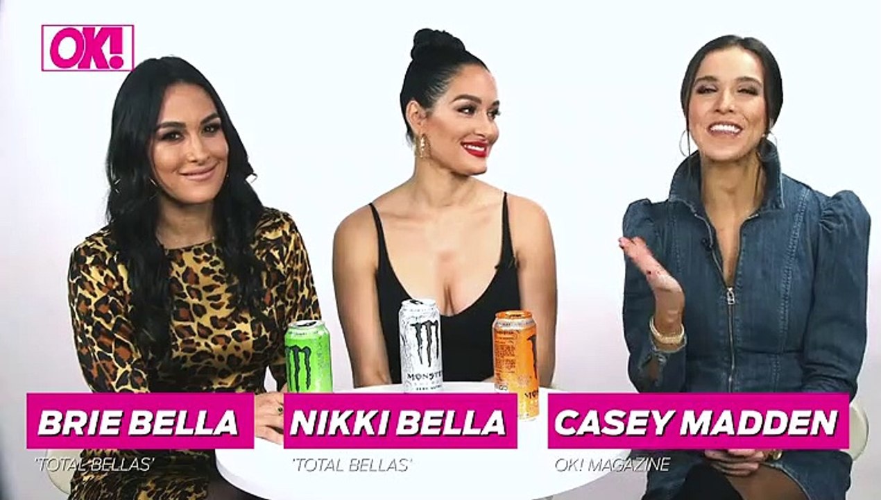 Catching Up With The Bella Twins