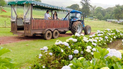 bd-tour-zona-poas-alajuela-030120