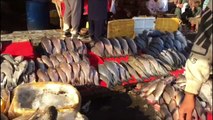 Fish Market of Faisalabad | Fish Market | Fish Market in Pakistan