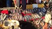 Fish Market of Faisalabad | Fish Market | Fish Market in Pakistan