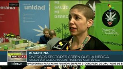 Argentina: Gobierno estudia despenalizar el consumo de cannabis